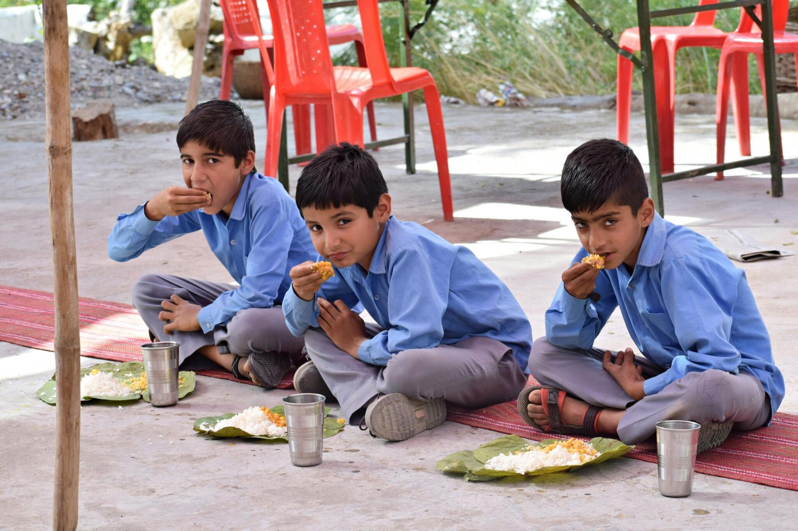 pexels-rajesh-s-balouria-1289088-20059284